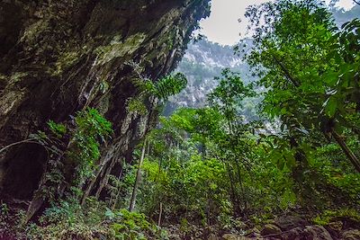 Sarawak et Sabah, Bornéo d'ouest en est