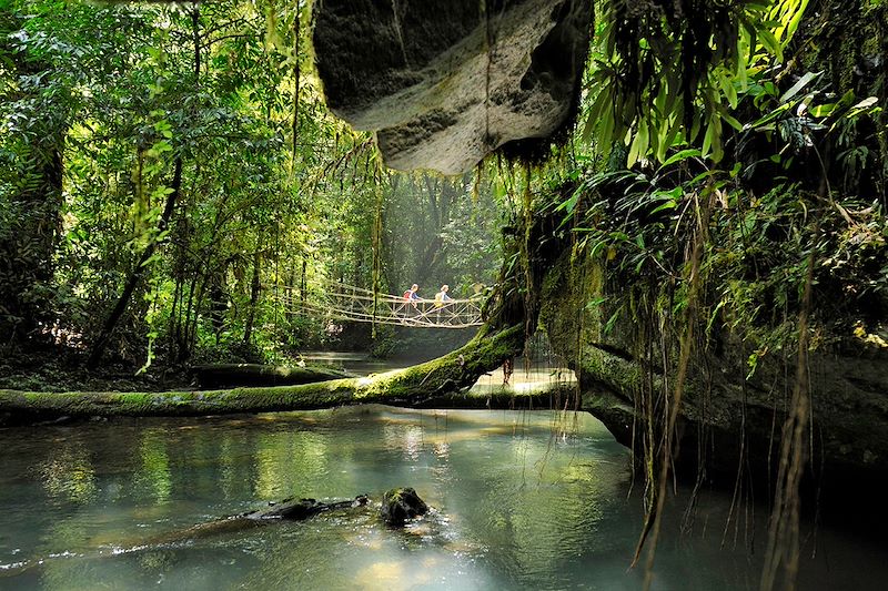 Randonnée dans le parc national de Gunung Mulu - Sarawak - Malaisie 
