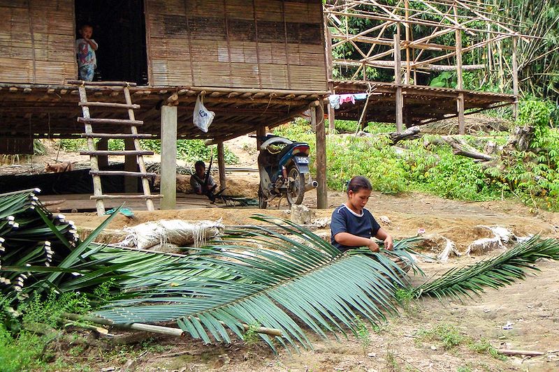 Village Orang Asli - Malaisie