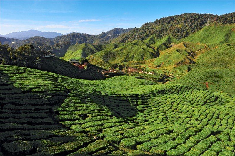 Découverte de la Malaisie et Langkawi 