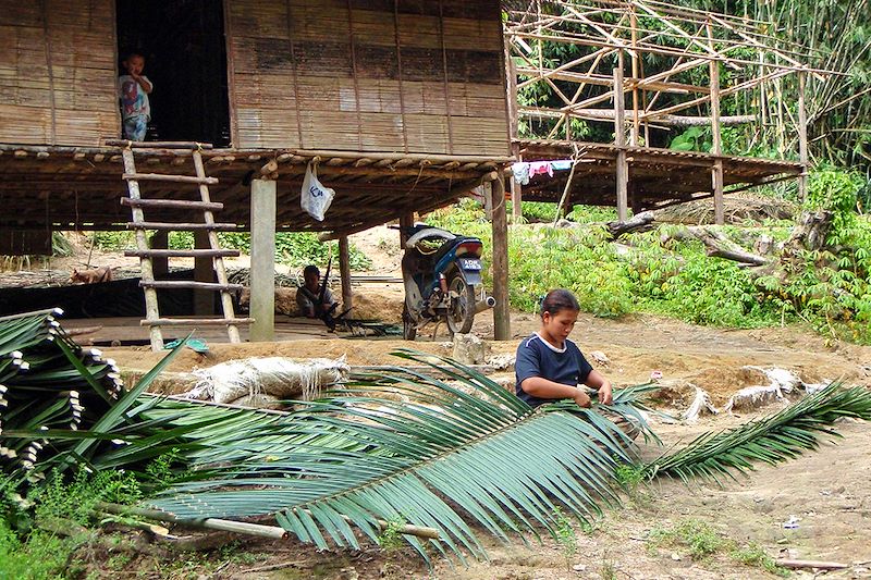 Village Orang Asli - Malaisie