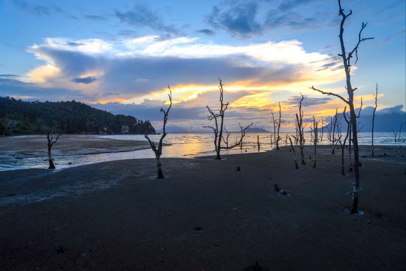 Bornéo : une immersion 100% nature 