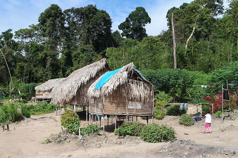 Village dans la réserve naturelle de Bélum - Malaisie