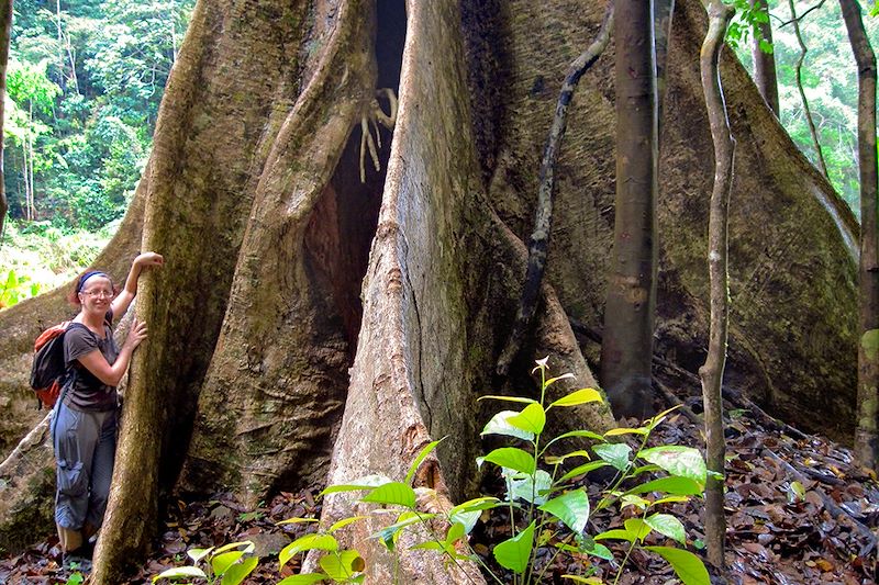 Parc Royal de Belum - Malaisie
