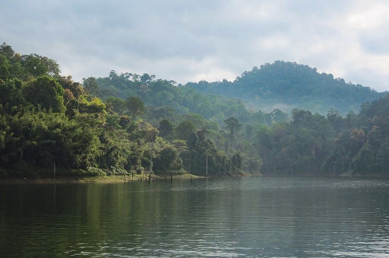 Lac de Temenggor - Réserve de Belum - État de Perak - Malaisie