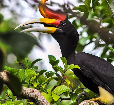 Voyages sur mesure Malaisie