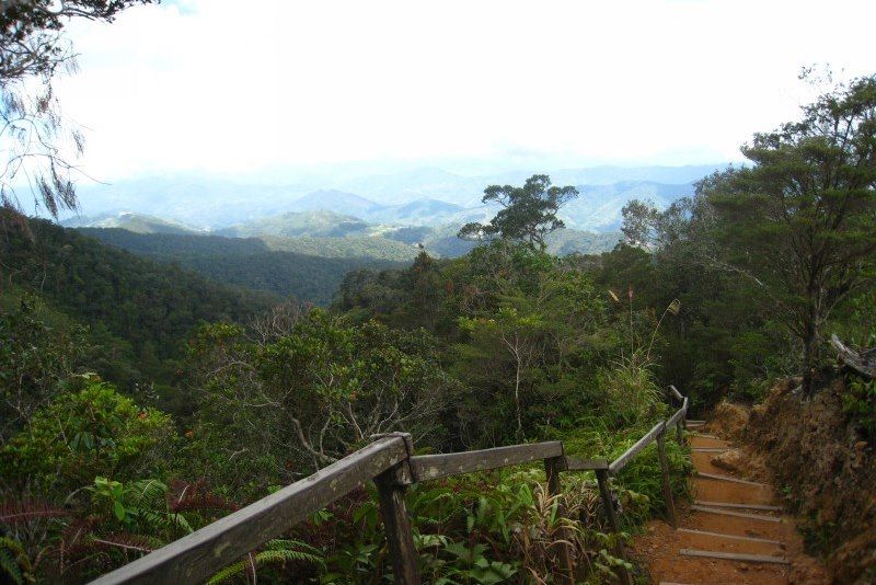 Mont Kita Kinabalu - Bornéo - Malaisie