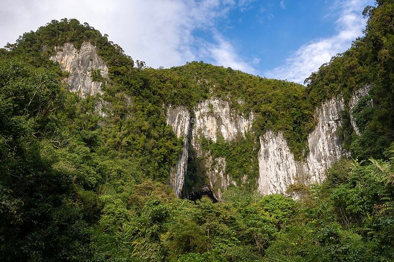 Deer Cave - Parc national de Mulu - Bornéo - Malaisie