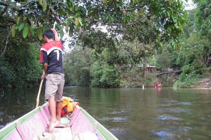 Bornéo : une immersion 100% nature 