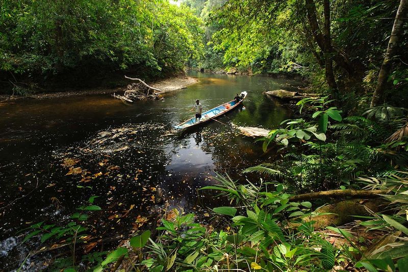 Bornéo : une immersion 100% nature 