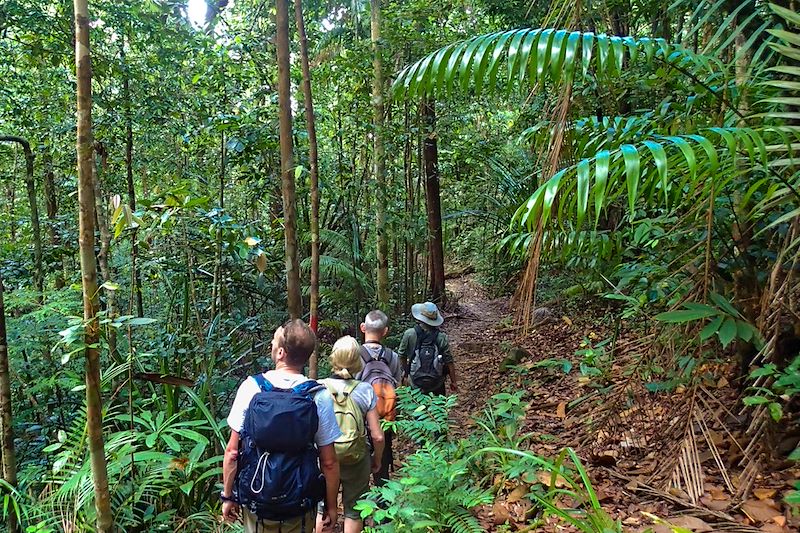 Randonneurs au Parc national de Bako - Bornéo - Malaisie