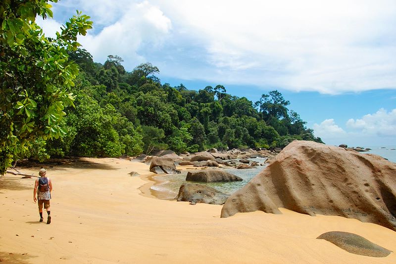 Découverte 100% nature du Sarawak sur l'île de Bornéo, avec 3 de ses plus beaux parcs nationaux: Bako, Batang Ai et Tanjung Datu