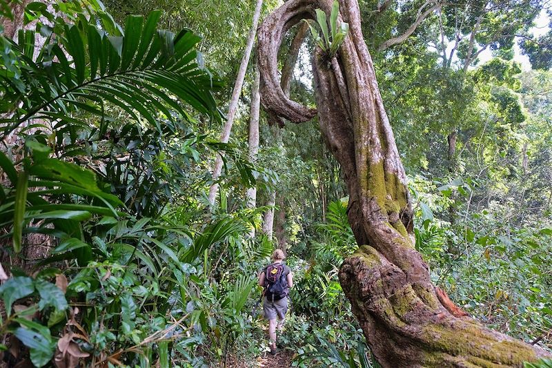 Randonnée entre Kwalé et Combani - Mayotte