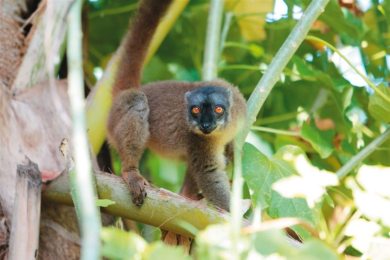 Le meilleur de Mayotte