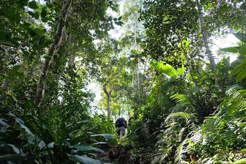 Le meilleur de Mayotte