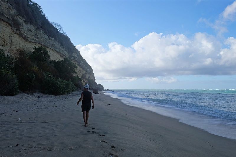 Le meilleur de Mayotte