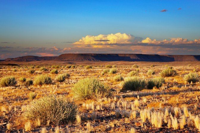 Désert du Kalahari - Namibie