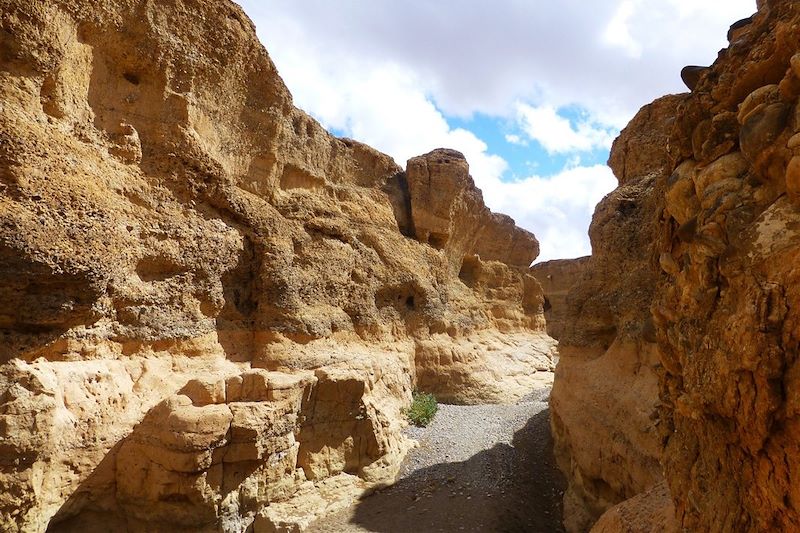 Douceur namibienne !