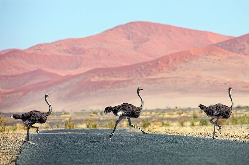 Douceur namibienne !