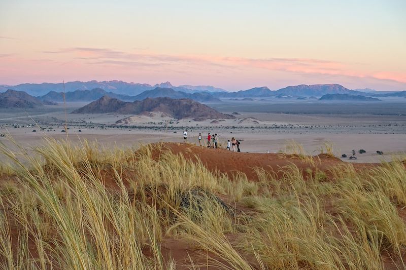 Désert du Namib - Namibie