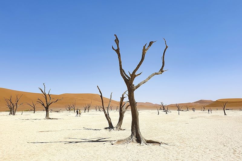Deadvlei près de Sossusvlei dans le désert du Namib - Namibie