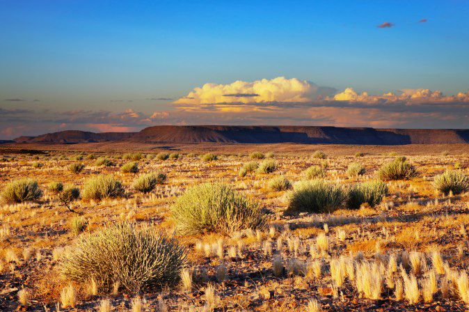 Désert du Kalahari - Namibie