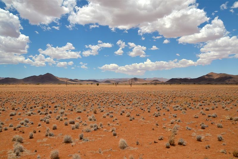 Bivouac sur les pistes namibiennes