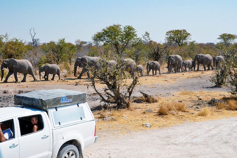 Safari en Namibie