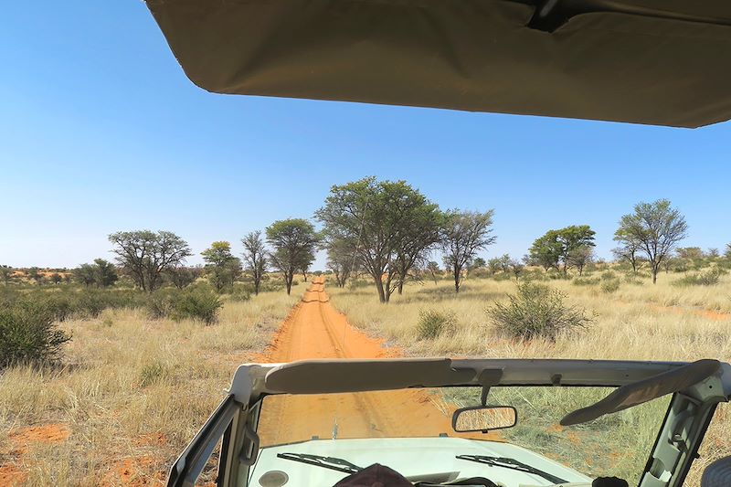 Safari dans le désert du Kalahari - Game Lodge - Namibie