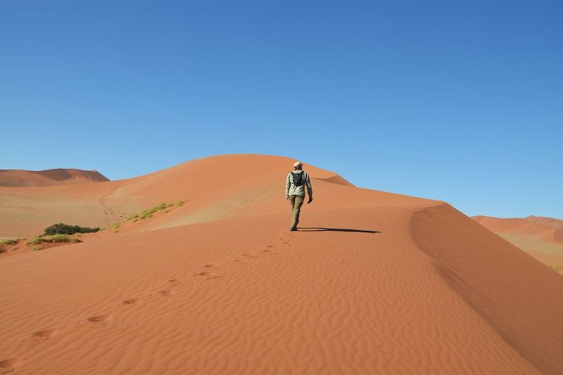 Dead Vlei - Dunes de Sossusvlei - Parc national du Namib-Naukluft - Namibie