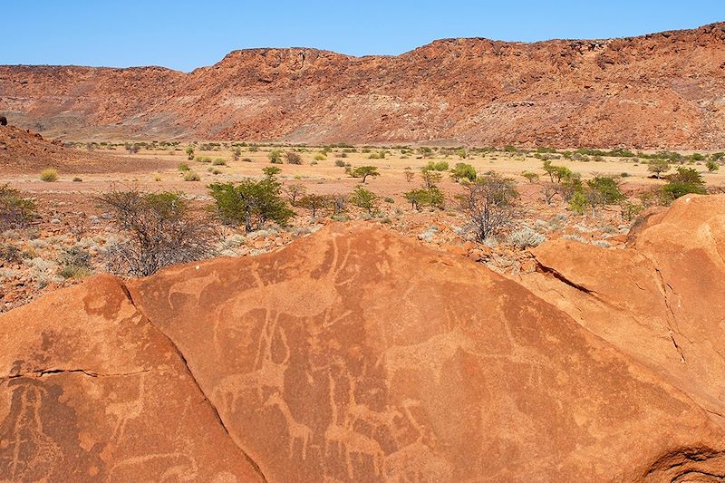 Camping Party en Namibie