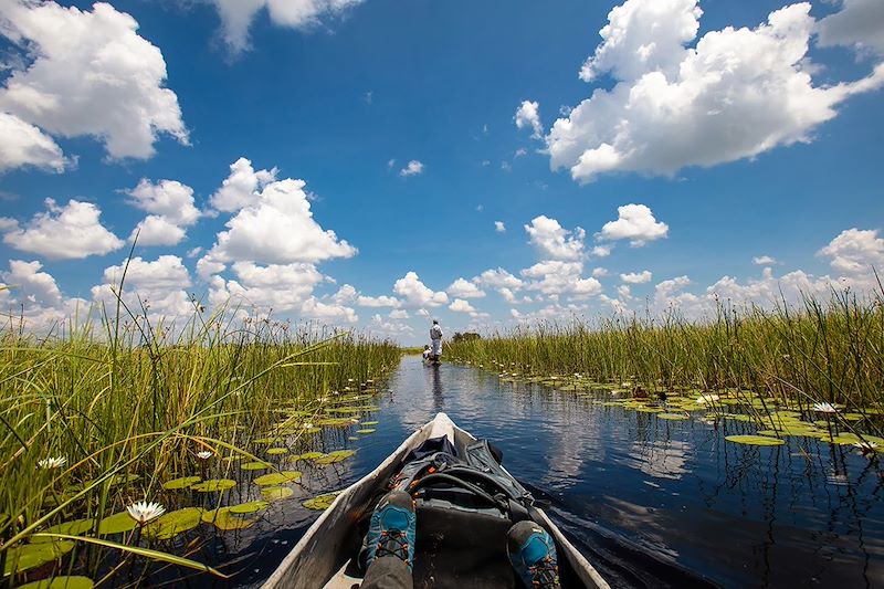 En mokoro sur le delta de l'Okavango - Botswana