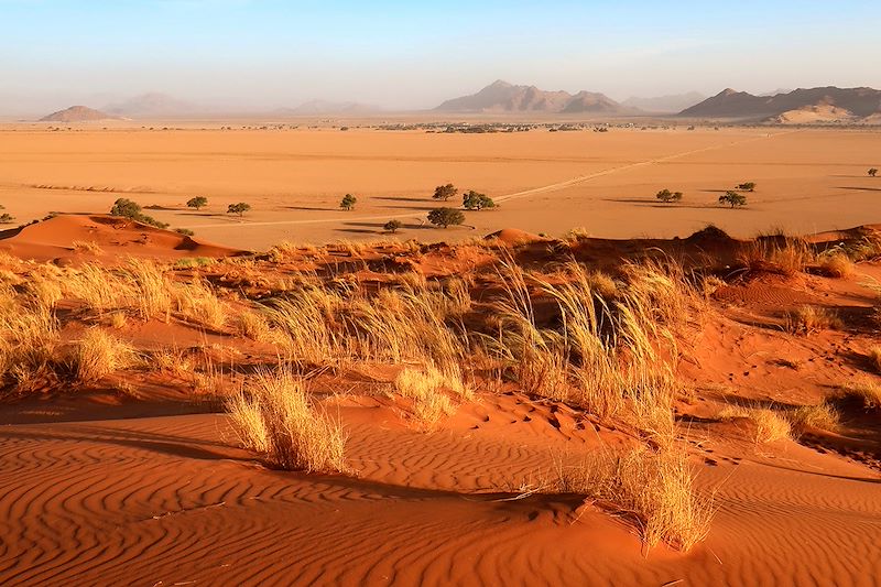 Dune d'Elim - Parc de Namib-Naukluft - Namibie