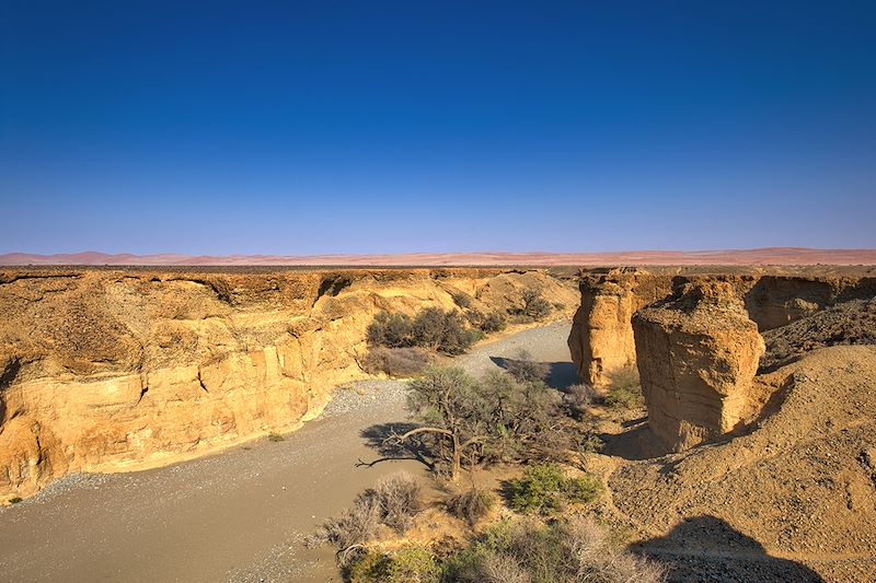 Canyon de Sesriem - Parc national de Namib-Naukluft - Namibie