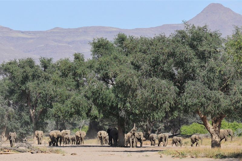 Doro Nawas - Twyfelfontein - Damaraland - Namibie&nbsp;©&nbsp;MJ Benadie/Doro Nawas