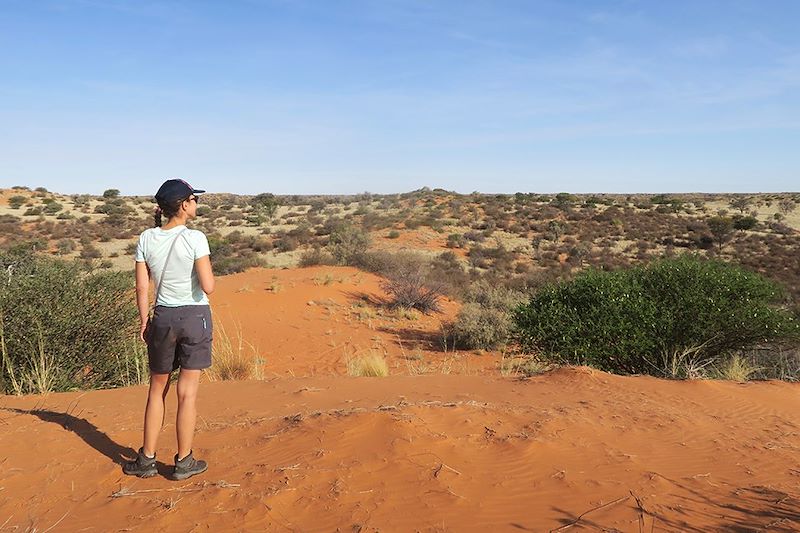 Safari dans le désert du Kalahari - Game Lodge - Namibie