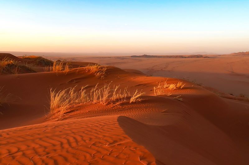 Dune d'Elim - Parc de Namib-Naukluft - Namibie