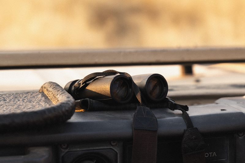 Safari en Namibie