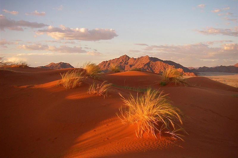 Dune Elim - Namibie