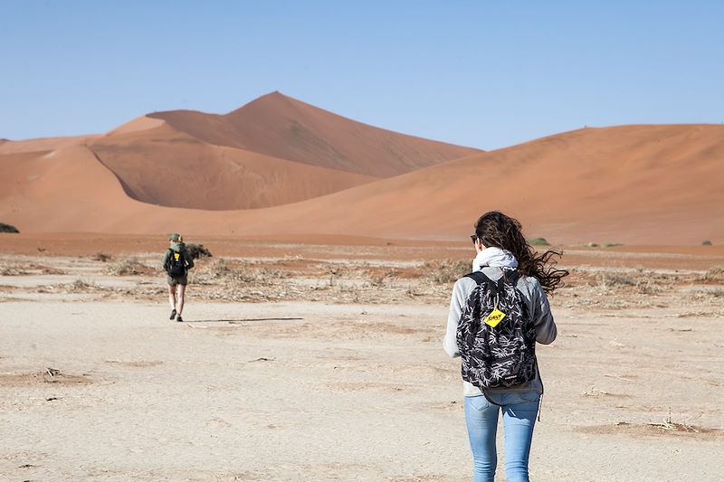 Désert du Namib et faune d'Etosha !