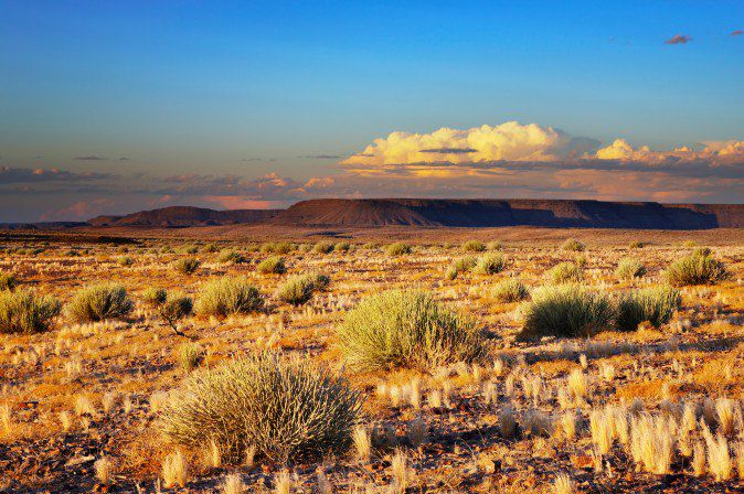 Désert du Kalahari - Namibie