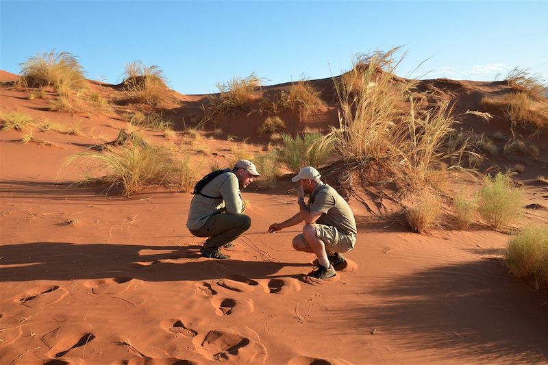 Dune d'Elim - Désert du Namib - Namibie