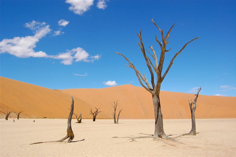 De la Namibie à Victoria Falls