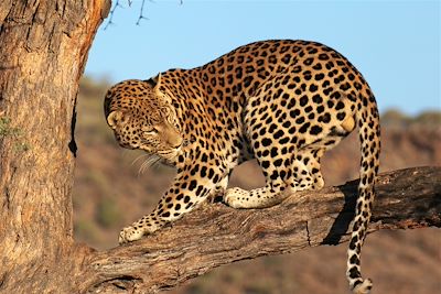 De la Namibie à Victoria Falls 3