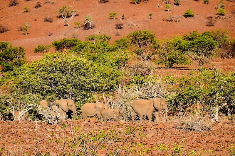 De la Namibie à Victoria Falls