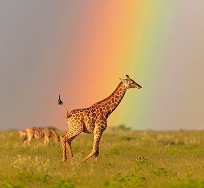 Circuits en petit groupe Botswana