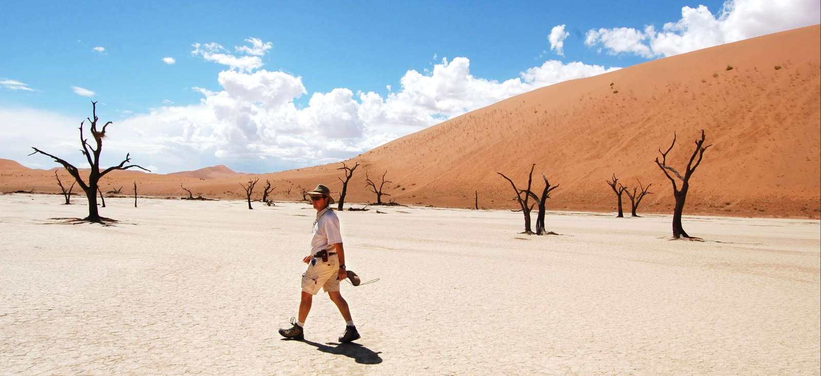 Voyage avec des animaux Namibie : Balade australe Voyage avec des animaux Namibie : Balade australe