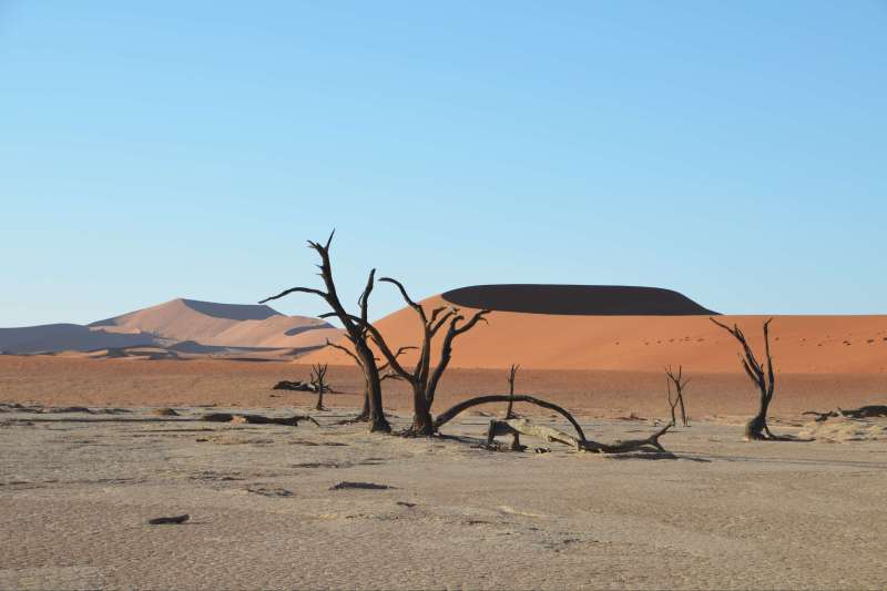 Image Shongololo, un train pour l'aventure