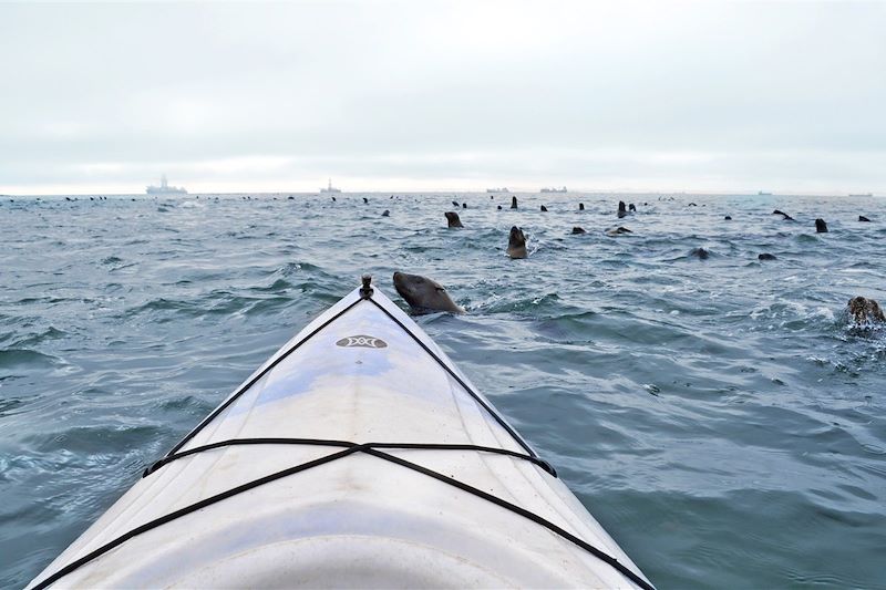 Kayak à Walvis Bay - Région d'Erongo - Namibie