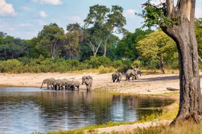 Voyage Botswana Safari Botswana Avec Nomade Aventure - 